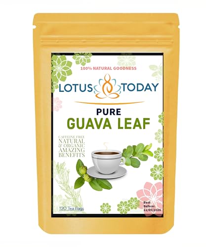 lotustoday Premium Guavenblatt 120 Teebeutel 100% reine Guavenblätter Natürliche Wellness von lotustoday