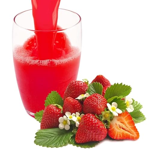 Luxofit Erdbeere Isotonisches Getränkepulver, L-Carnitin, Sportler Getränk, Natürliche Farbstoffe, Elektrolytgetränk, schnelle und einfache Zubereitung (10 Kg) von luxofit