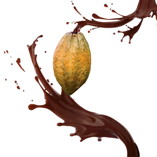 Luxofit Kakao Aroma flüssig, Geschmacksrichtungen für Küche und Gastronomie, Aromatisierung von Getränken und Lebensmitteln, Made in Germany, Vegetarisch und Vegan (50 ml) von luxofit