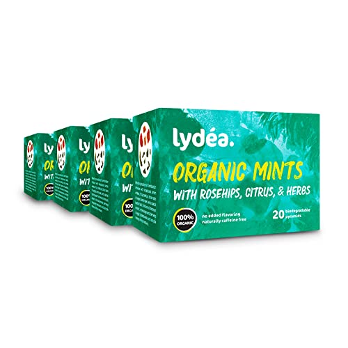 Lydea Bio-Kräutertee, Minze mit Hagebutten, Zitrusfrüchten und Kräutern, 80 Pyramiden, 4er-Pack [4 x 20 Pyramiden] von lydéa