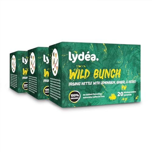 Lydea Bio-Brennnessel – köstliche Kräuterteemischung mit Ingwer, Zitronenmelisse und mehr – natürlich koffeinfrei, 60 biologisch abbaubare Pyramiden, 3er-Pack [3 x 20 Pyramiden] von lydéa