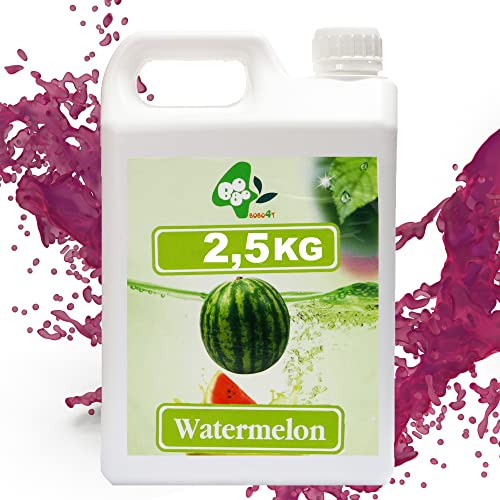 BoboQ Früchte Obst Sirup Für Bubble Tea Boba Bobas Wassermelone 2,5kg 1900 ml von molecula molecula Molekularna Fabryka Samku