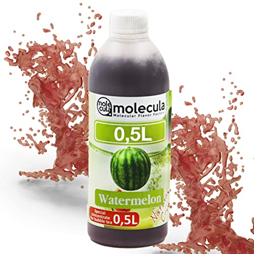 SIRUP FÜR BUBBLE TEA 0,5 l KONZENTRAT-SAFT-Wassermelone von molecula molecula Molekularna Fabryka Samku