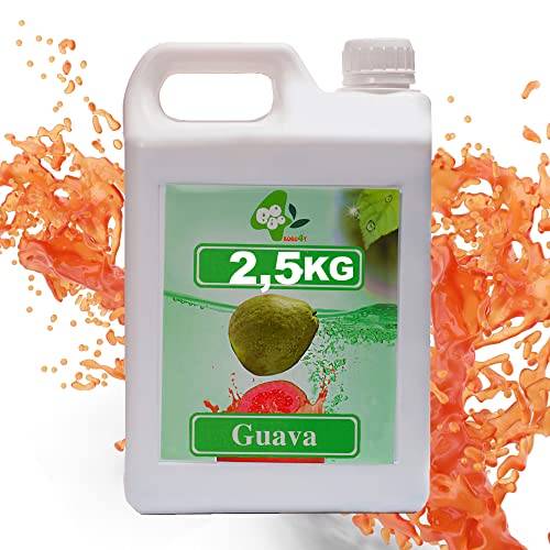 Sirup für Bubble Tea 2,5 kg - 1900 ml | Guave | Getränke sirup Konzentrat 1,9l | 100% vegan, glutenfrei, ohne künstliche Farbstoffe | Fruchtsirup für Bubbletea|Getränkesirup | für Desserts | Guave von molecula molecula Molekularna Fabryka Samku