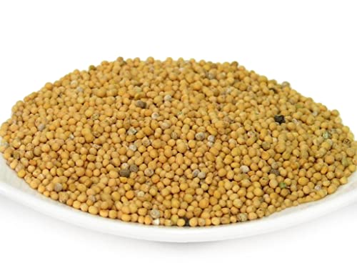 pikantum Bio Senfsaat gelb | 1kg | Senfkörner | Senfsamen von pikantum