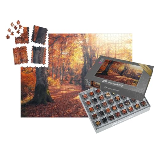 puzzleYOU: SMART SORTED® | Puzzle 1000 Teile leicht gemacht „Herbstlicher Wald: Herbstmorgen im bunten Wald mit Sonnenstrahlen“ – aus der Puzzle-Kollektion Wälder, Wald & Bäume von puzzleYOU