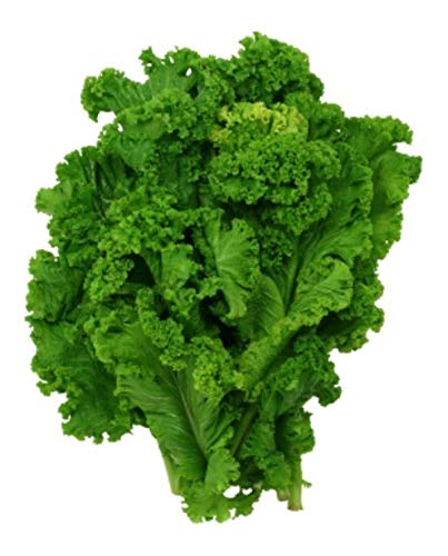 Bio-Süd-Riesen Gewelltes Mustard Greens Samen ~ 500Ct Zesty Gemüse Bio-Süd-Riesen Gewelltes Mustard Greens Samen ~ 500Ct Zesty Gemüse von seedsown