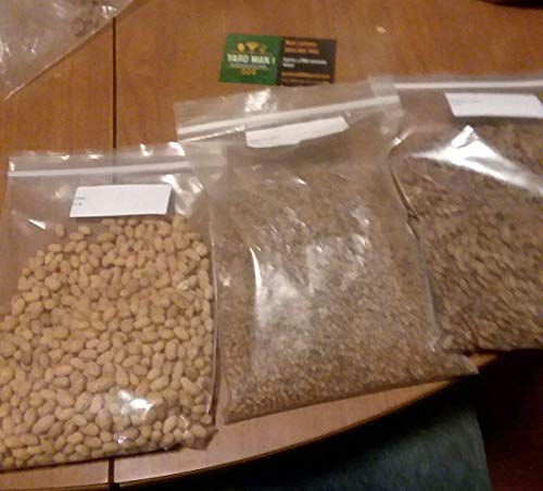 Keimfutter: 100+ Seeds. Olive Tree Variety Pack. Olive, Russische Olive und Herbst Olive Seeds Keimfutter: 100+ Seeds. Olive Tree Variety Pack. Olive, Russische Olive und Herbst Olive Seeds von seedsown