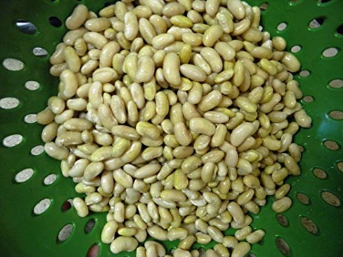 Keimfutter: 100 - Seeds: Mayocoba Bean Samen - Kanarische Bohnen, Peruanische Bohnen - King of Beans -Delicious !!! Keimfutter: 100 - Seeds: Mayocoba Bean Samen - Kanarische Bohnen, Peruanische Bohnen - King of Beans -Delicious !!! von seedsown