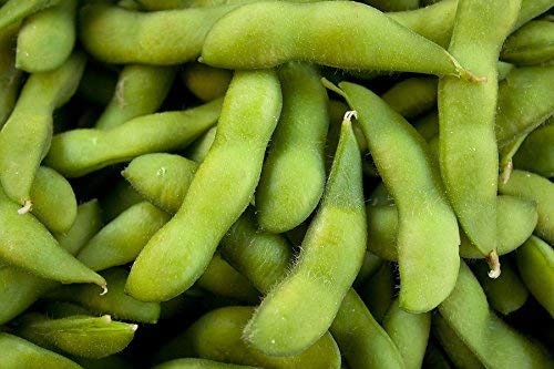 Keimfutter: 250+ Seeds: Sojasamen-: Be-Sweet 292 Edible Sojabohnensamen Frische Samen-freies Verschiffen Keimfutter: 250+ Seeds: Sojasamen-: Be-Sweet 292 Edible Sojabohnensamen Frische Samen-freies Verschiffen von seedsown