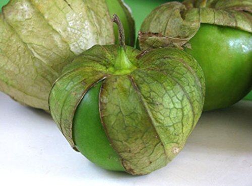 seedsown 10 frische Samen - Tomatilla Verde - Macht großen Salsa! seedsown 10 frische Samen - Tomatilla Verde - Macht großen Salsa! von seedsown