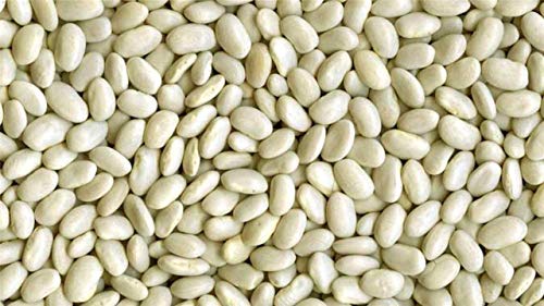seedsown Keimfutter: 100: Great Northern Bohnen Frisch Bio-Non GMO Bean 50-100 - 200 Samen seedsown Keimfutter: 100: Great Northern Bohnen Frisch Bio-Non GMO Bean 50-100 - 200 Samen von seedsown