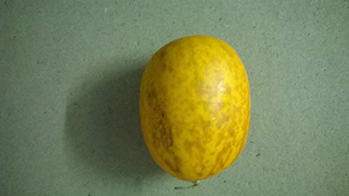 seedsown Kleine gelbe Melone, Extra Süß, High Yield, 90 Tage, 20 Samen seedsown Kleine gelbe Melone, Extra Süß, High Yield, 90 Tage, 20 Samen von seedsown
