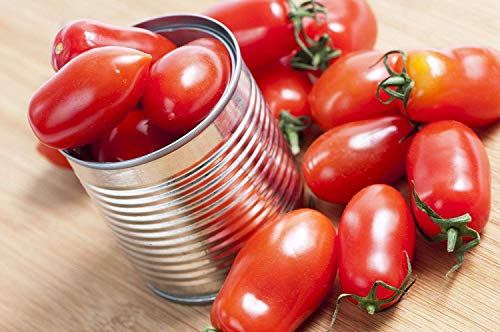seedsown Organische Roma Tomate sät ~ 350Ct Canning Produktion Tomaten Nicht-GVO-Usa von seedsown