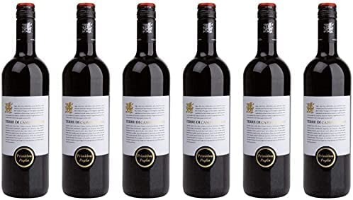 Primitivo Puglia - Terre di Campo Sasso - Rotwein trocken aus Apulien - (6x 0,75 l) von terre di campo sasso