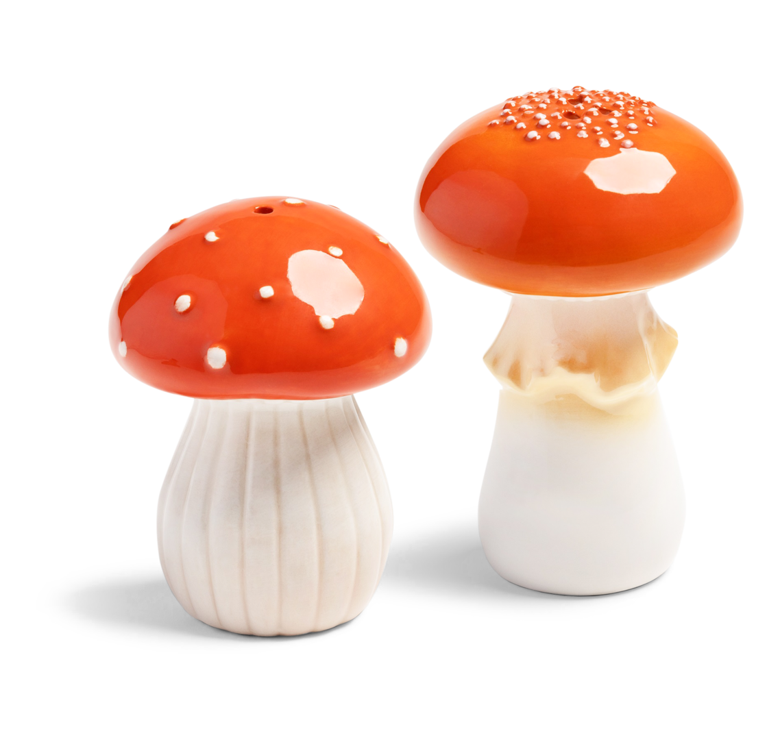 Pilze Salz- und Pfefferstreuer 9.5 x Ø 7 | 8 x Ø 6 cm Pilze Salz- und Pfefferstreuer 9.5 x Ø 7 | 8 x Ø 6 cm von &klevering Ws.
