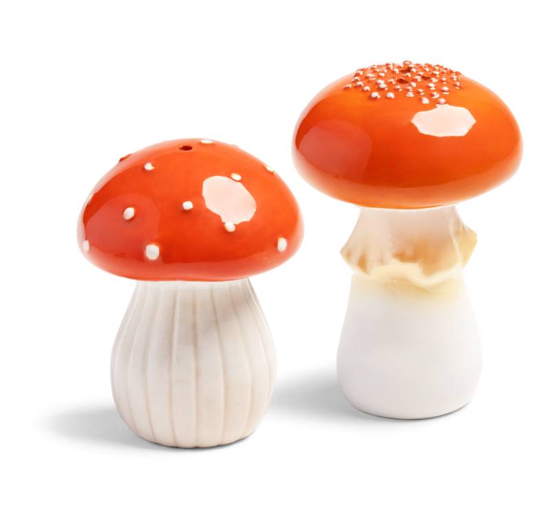 Pilze Salz- und Pfefferstreuer 9.5 x Ø 7 | 8 x Ø 6 cm von &klevering Ws.