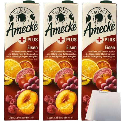 Amecke Mehrfruchtsaft 100% Saft + Eisen 3er Pack (3x1 Liter Packung) + usy Block von usy