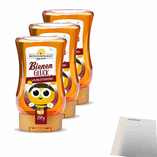 Bienenwirtschaft Meissen Bienenglück Wildblütenhonig 3er Pack (3x250g Flasche) + usy Block von usy