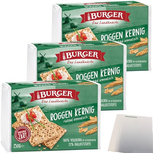 Burger das Landknäcke Roggen Kernig rustikal aromatisch 3er Pack (3x250g Packung) + usy Block von usy