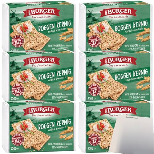 Burger das Landknäcke Roggen Kernig rustikal aromatisch 6er Pack (6x250g Packung) + usy Block von usy