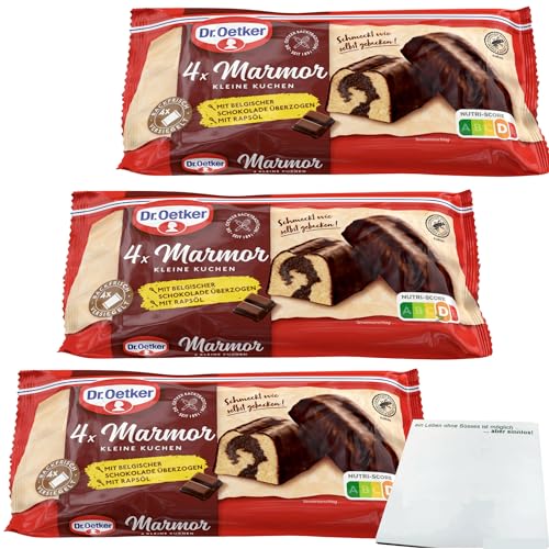 Dr.Oetker 4 kleine Marmorkuchen mit belgischer Schokolade überzogen 3er Pack (3x172g Packung) + usy Block von usy