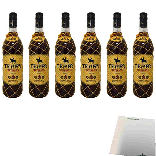 Terry Centenario 30% vol. 6er Pack (6x1l Flasche Brandy aus Spanien) + usy Block von usy