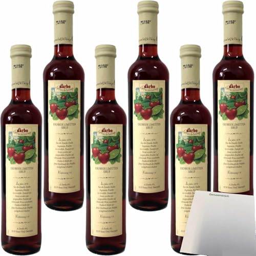 usy Bundle für Darbo Fruchtsirup Erdebeer und Limette 6er Pack (6x0,5l Flasche) + usy Block von usy
