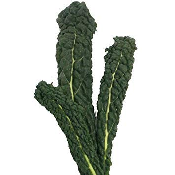 1 Gramm Samen der Nero Di Toscana Kale Konventionelle & Organic 1 Gramm Samen der Nero Di Toscana Kale Konventionelle & Organic von vegherb