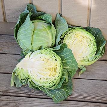vegherb 1/2 Gramm Samen der Schnellstart-Kohl vegherb 1/2 Gramm Samen der Schnellstart-Kohl von vegherb