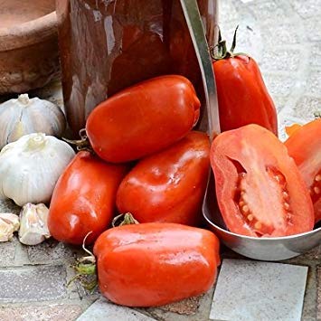 vegherb 1/8 Gramm Bio-Saatgut von San Marzano Tomaten Bio vegherb 1/8 Gramm Bio-Saatgut von San Marzano Tomaten Bio von vegherb