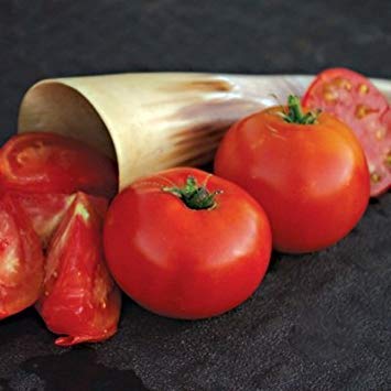 vegherb 1/8 Gramm Samen der Siletz Tomate Konventionelle & Bio vegherb 1/8 Gramm Samen der Siletz Tomate Konventionelle & Bio von vegherb