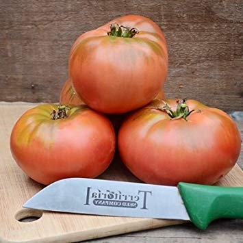vegherb 1 Gramm Bio-Samen der Kosmonaut Volkov Tomato Bio vegherb 1 Gramm Bio-Samen der Kosmonaut Volkov Tomato Bio von vegherb