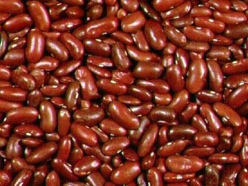 vegherb 1.2 Ounce Seeds of Vud008 Dark Red Kidney-Bohnen vegherb 1.2 Ounce Seeds of Vud008 Dark Red Kidney-Bohnen von vegherb