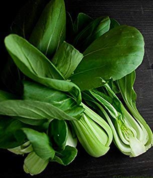 vegherb 300 Pak Choi Weiß Stem Kohlsamen-Non gentechnik offen befruchtete-Bio vegherb 300 Pak Choi Weiß Stem Kohlsamen-Non gentechnik offen befruchtete-Bio von vegherb