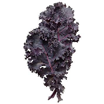 vegherb 5 Gramm Samen der Scarlet Kale vegherb 5 Gramm Samen der Scarlet Kale von vegherb