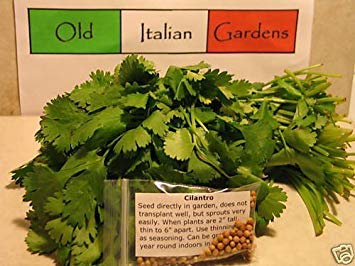 vegherb 500 Cilantro Kräutersamen für Latein und asiatischen Koch Nicht ohne Gentechnik stark duftend vegherb 500 Cilantro Kräutersamen für Latein und asiatischen Koch Nicht ohne Gentechnik stark duftend von vegherb