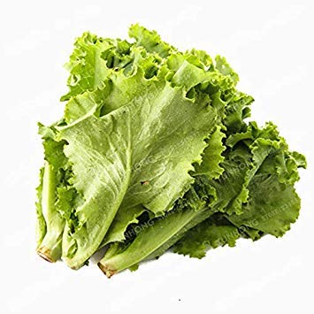 vegherb Hellgrün: Neue 100 PC-Salat Bonsai guter Geschmack einfach wachsen Großer Salat Dhoice DIY Hausgärten Gemüse reich Vitamine Chinese Le Light Green (Dich vegherb Hellgrün: Neue 100 PC-Salat Bonsai guter Geschmack einfach wachsen Großer Salat Dhoice DIY Hausgärten Gemüse reich Vitamine Chinese Le Light Green (Dich von vegherb