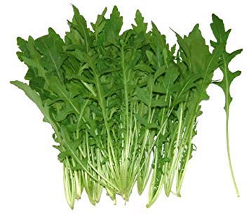 vegherb Hot Leaflets Bio Arugula Samen Gemüse 100Seed vegherb Hot Leaflets Bio Arugula Samen Gemüse 100Seed von vegherb