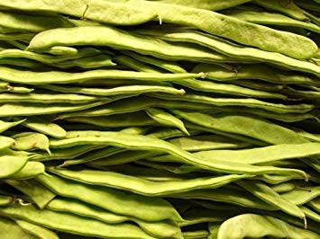 vegherb New Romano Pole Bean Italienisch Wohnung Grün Pod Phaseolus Vulgaris Gemüse 50+ Seeds vegherb New Romano Pole Bean Italienisch Wohnung Grün Pod Phaseolus Vulgaris Gemüse 50+ Seeds von vegherb