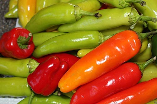 vegherb Paprika Ungarische Süße Wax - Jumbo Paprika, 1000 Heirloomsamen vegherb Paprika Ungarische Süße Wax - Jumbo Paprika, 1000 Heirloomsamen von vegherb