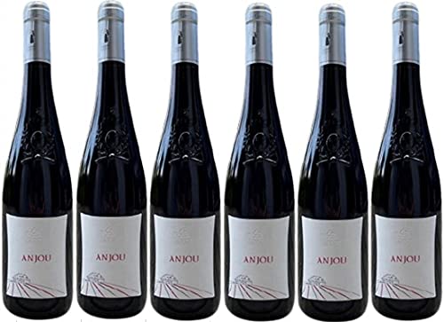 Anjou Rot - Domaine des Forges, 13,5% " val du Layon" AOC 2022, Rotwein, 6 x 75cl. von VINACCUS