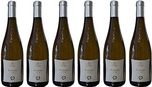 Halbtrockener Weißwein 2022 Chenin "The Tenderness" 11.5%, 6 x 75cl. von VINACCUS