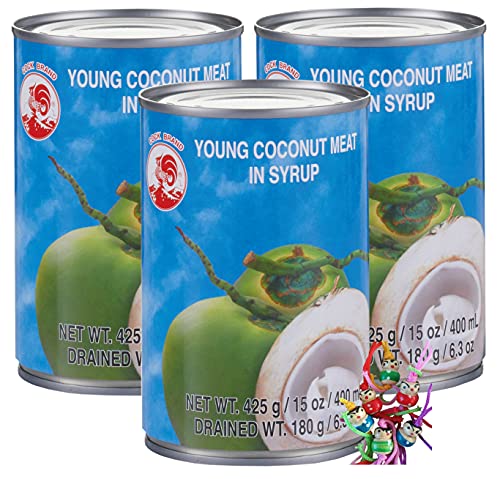 yoaxia ® - 3er Pack - [ 3x 425g / 180g ATG ] Junges Kokosnussfleisch in Sirup/Kokos Fruchtfleisch/leicht gezuckert + ein kleiner Glücksanhänger gratis von yoaxia Marke