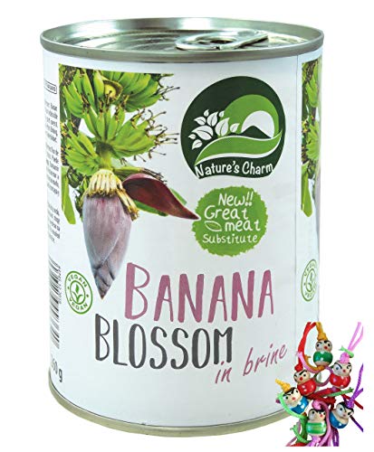 yoaxia ® - [ 510g/ 260g ATG ] Bananenblüte, salzig eingelegt / veganer Fleischersatz / Banana Blossom + ein kleiner Glücksanhänger gratis von yoaxia Marke
