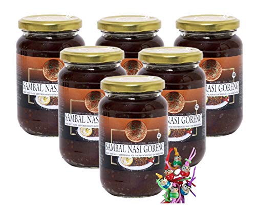6er Pack - [ 6x 360g ] KONINGSVOGEL Sambal Nasi Goreng/Würzige Sauce für gekochten Reis + ein kleiner Glücksanhänger gratis von yoaxia Marke