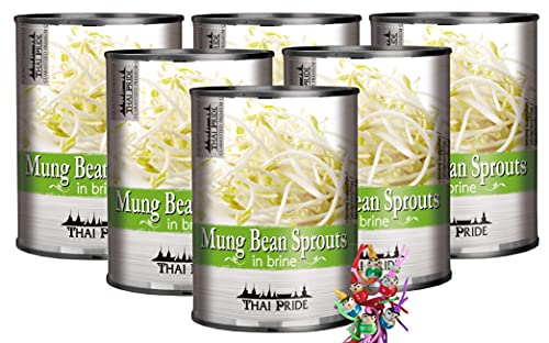 6er Pack - [ 6x 410g / 220g ATG ] Mungobohnenkeimlinge in Wasser/Mung Bean Sprouts in brine + ein kleiner Glücksanhänger gratis von yoaxia Marke