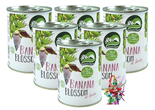 6er Pack - [ 6x 510g/ 260g ATG ] Bananenblüte, salzig eingelegt/veganer Fleischersatz/Banana Blossom + ein kleiner Glücksanhänger gratis von yoaxia Marke