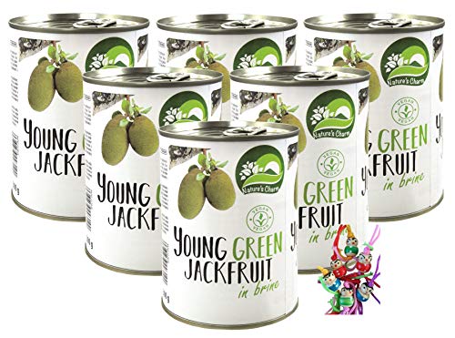 yoaxia ® - 6er Pack - [ 6x 565g / 300g ATG ] Junge Jackfrucht in Stücken, salzig eingelegt / veganer Fleischersatz / Jackfruit + ein kleines Glückspüppchen - Holzpüppchen von yoaxia Marke