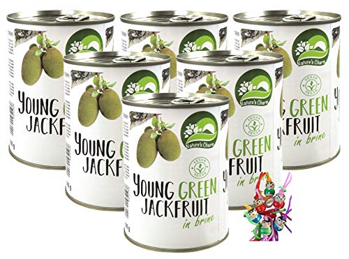 yoaxia ® - 6er Pack - [ 6x 565g / 300g ATG ] Junge Jackfrucht in Stücken, salzig eingelegt / veganer Fleischersatz / Jackfruit + ein kleines Glückspüppchen - Holzpüppchen von Yoaxia